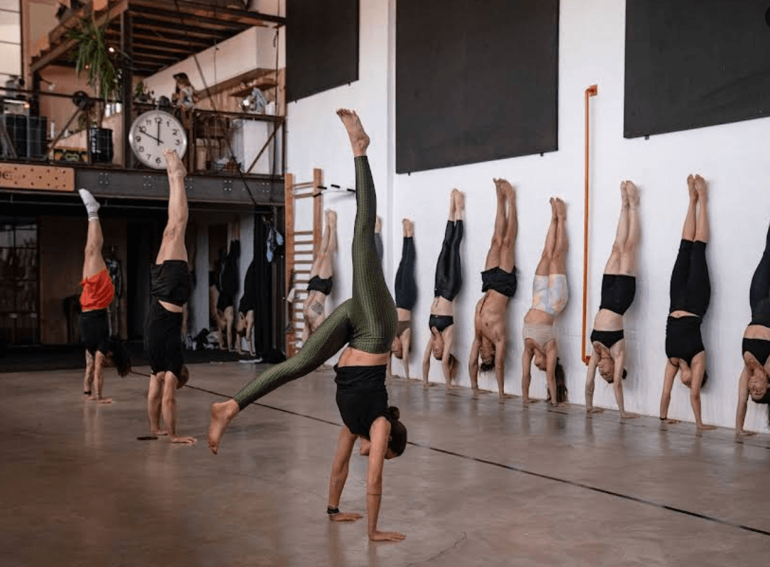 Primal Moves