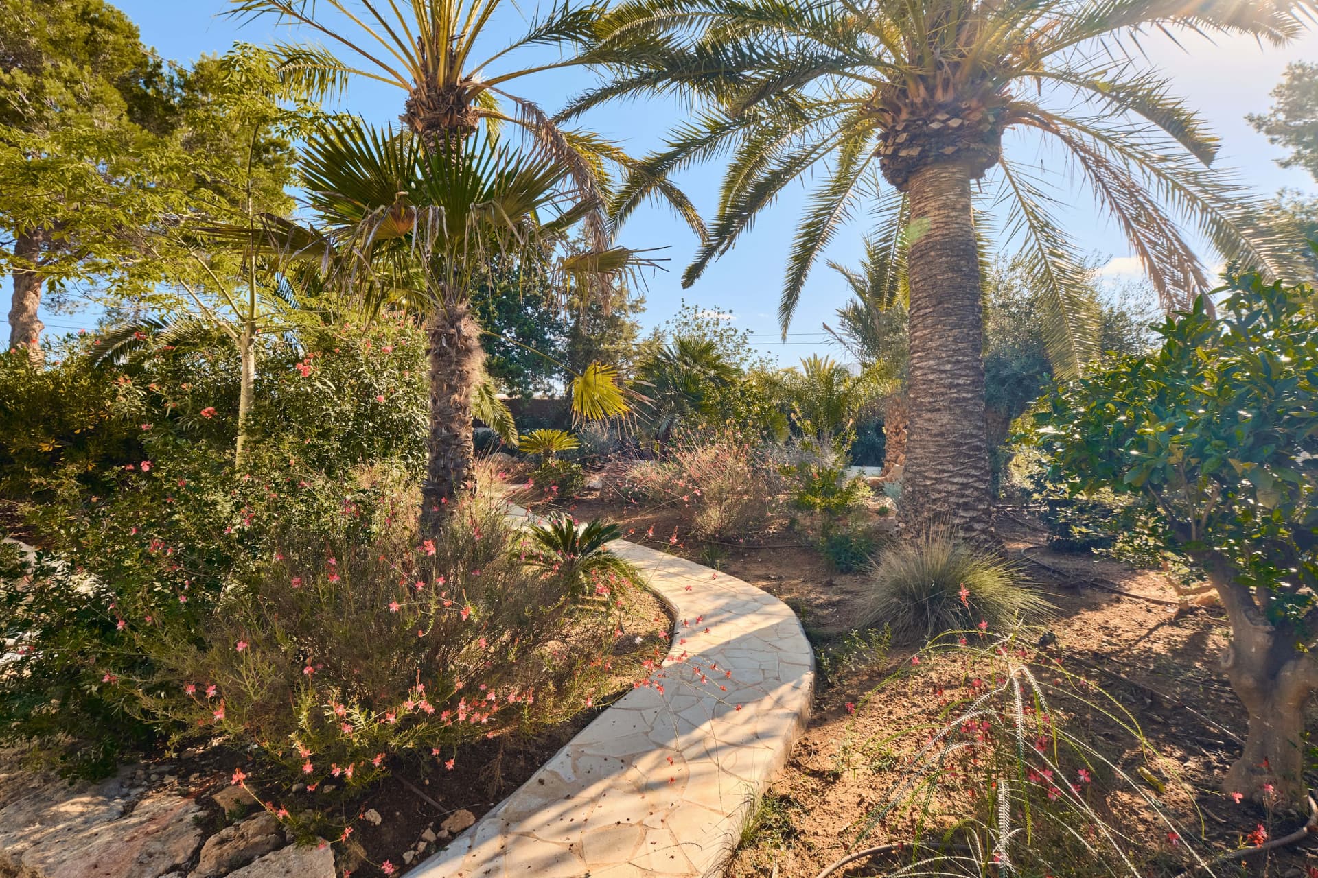 Villa Camelia — photo 13