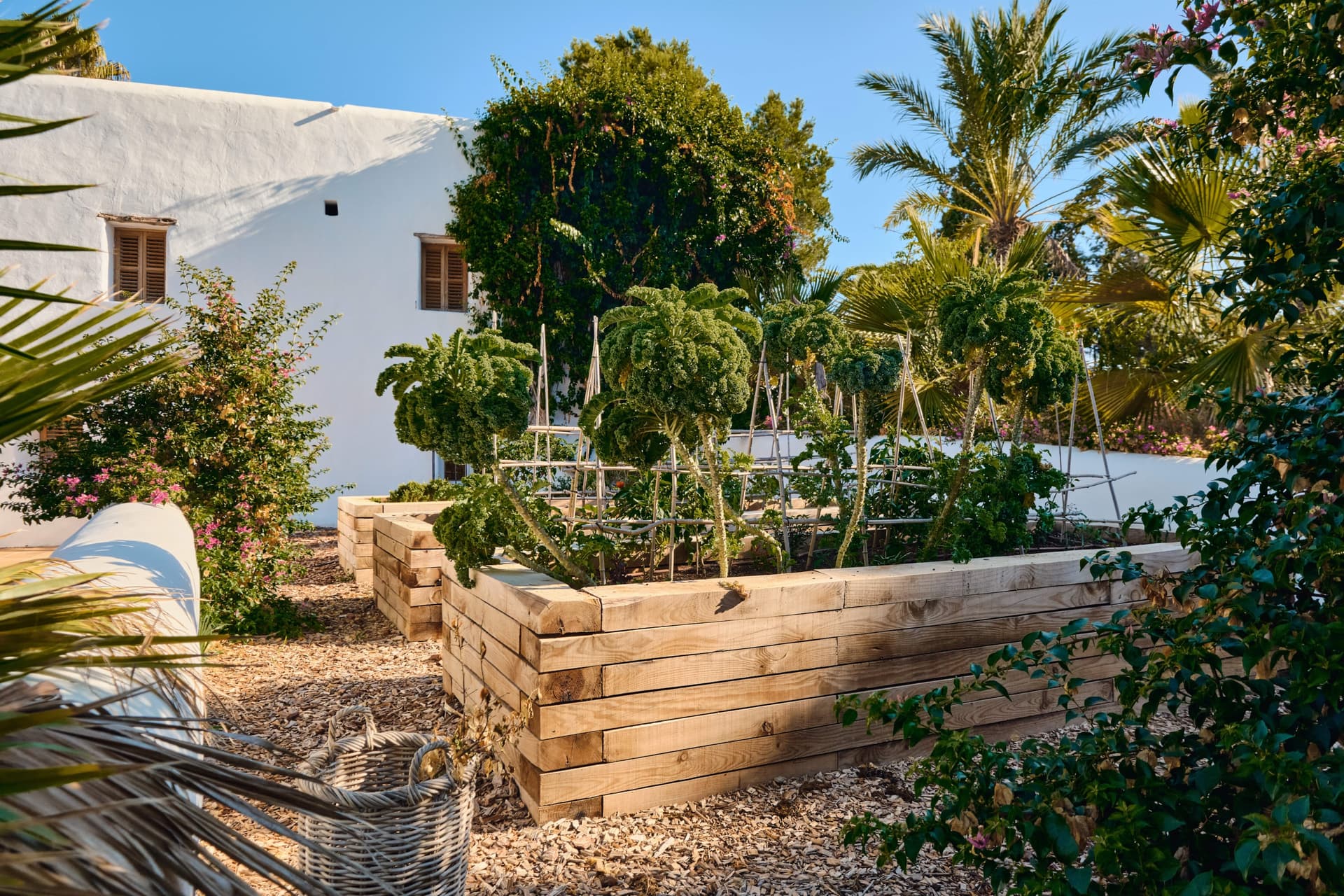 Villa Camelia — photo 7
