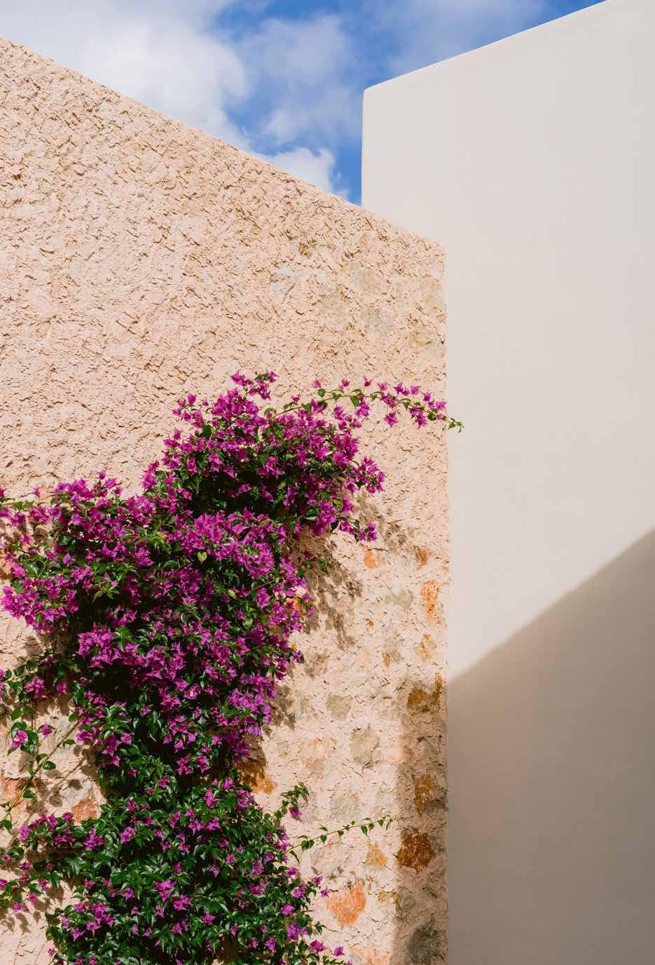 Villa Lirio — photo 55