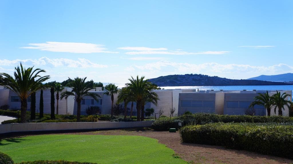 Lawn with mature palms and clipped hedging looking out to sea, private urbanisation, Ibiza