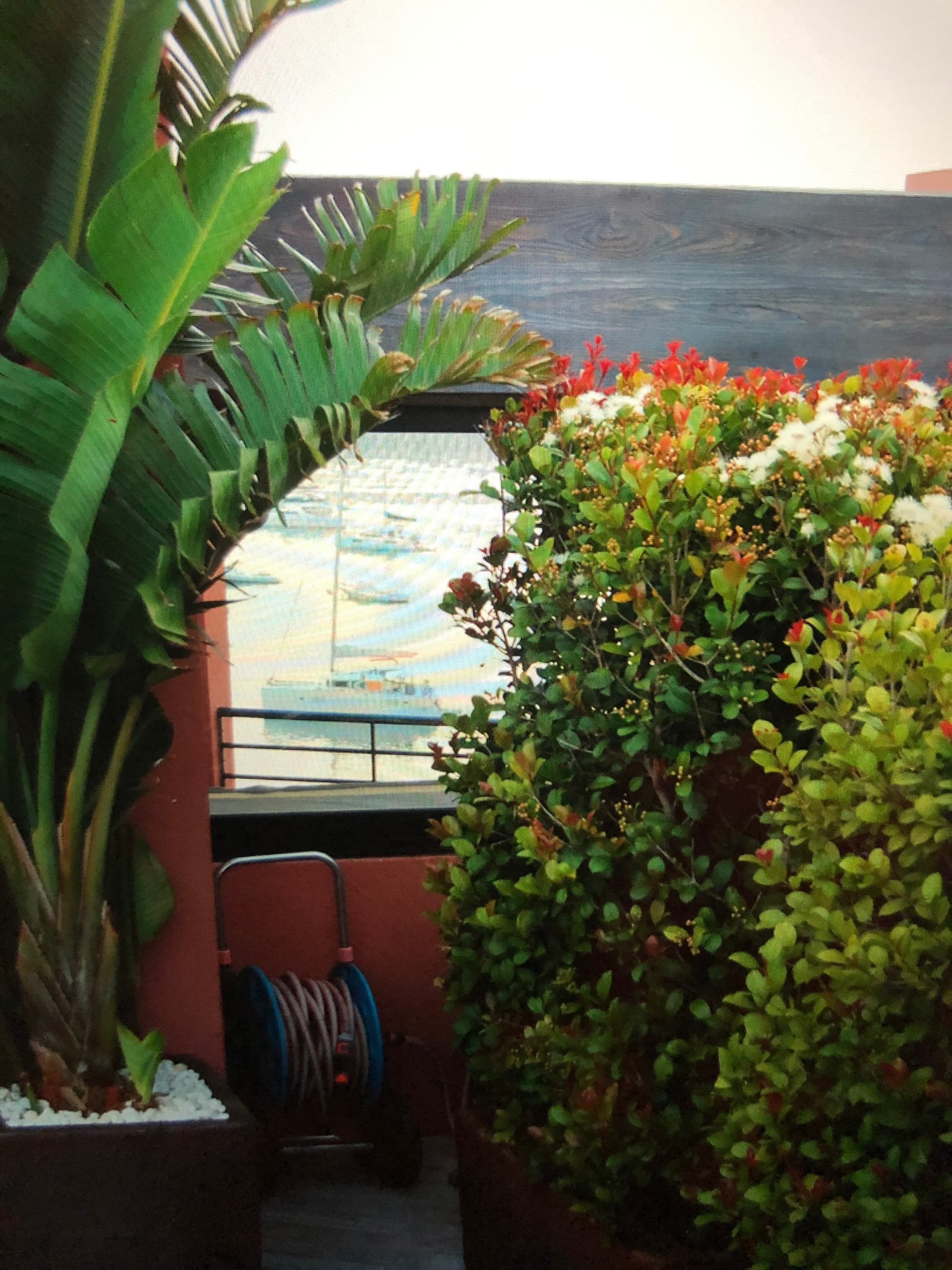Piso Cuarzo — photo 4 of 43