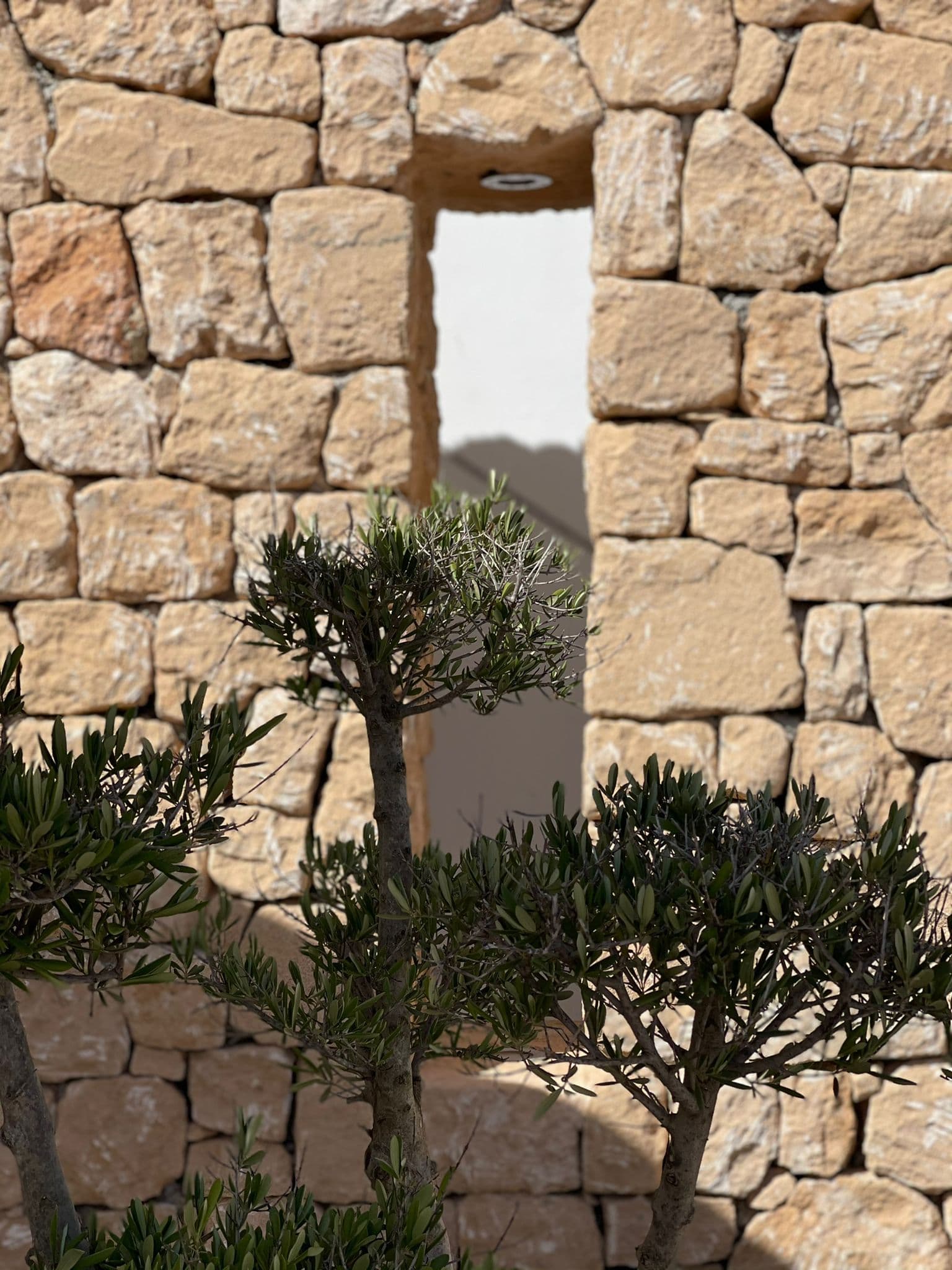CASA MAR CON APARTAMENTO INDEPENDIENTE Y VISTAS MAR, Sant Josep de Sa talaia — photo 20