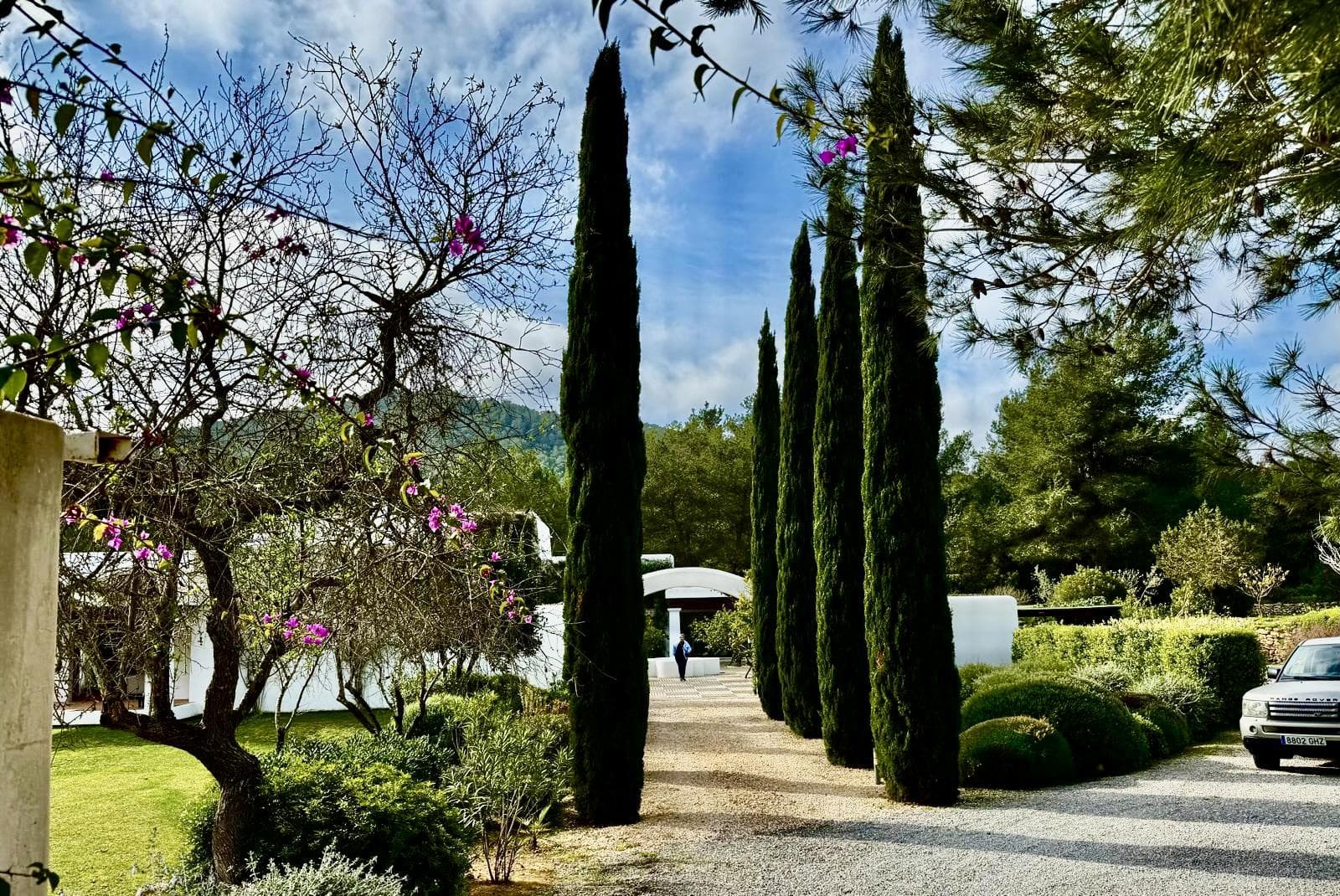 Can Mimosa — photo 10