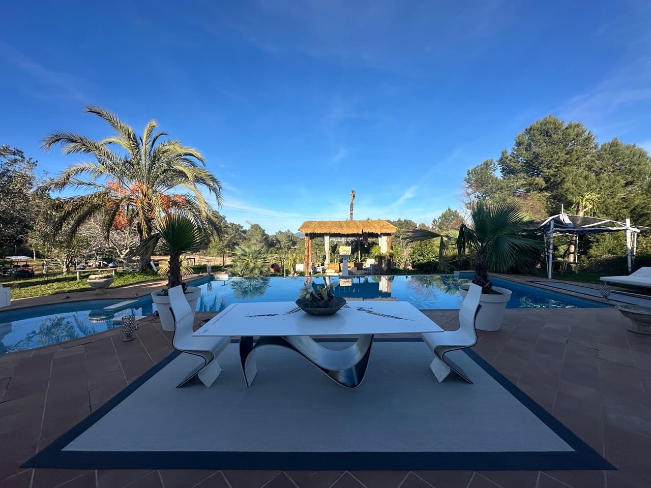 Outdoor dining table set beside the pool among palms at Villa Constelacion, Cala Vedella, Ibiza