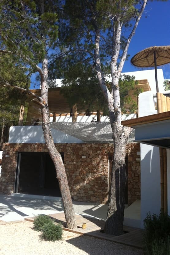 Can Cardamomo — photo 33