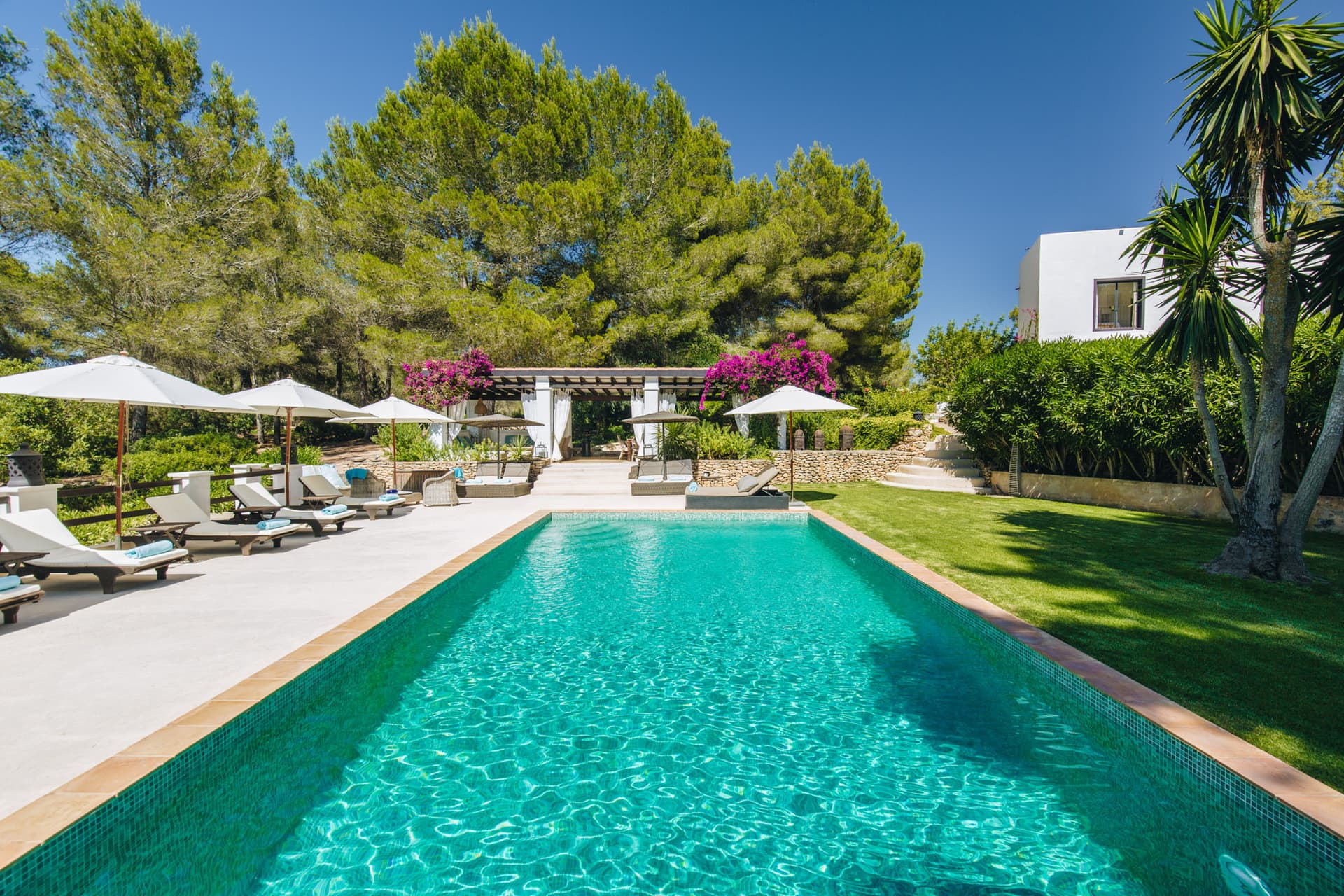 Long swimming pool with parasols, lawn and bougainvillea at Villa Charo, San Rafael, Ibiza