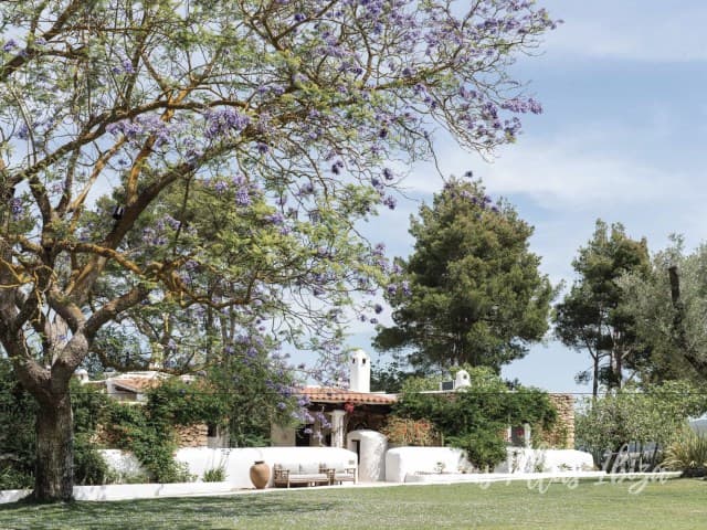 Low house set in open countryside among mature trees at Can Mulo, Sant Antoni de Portmany, Ibiza