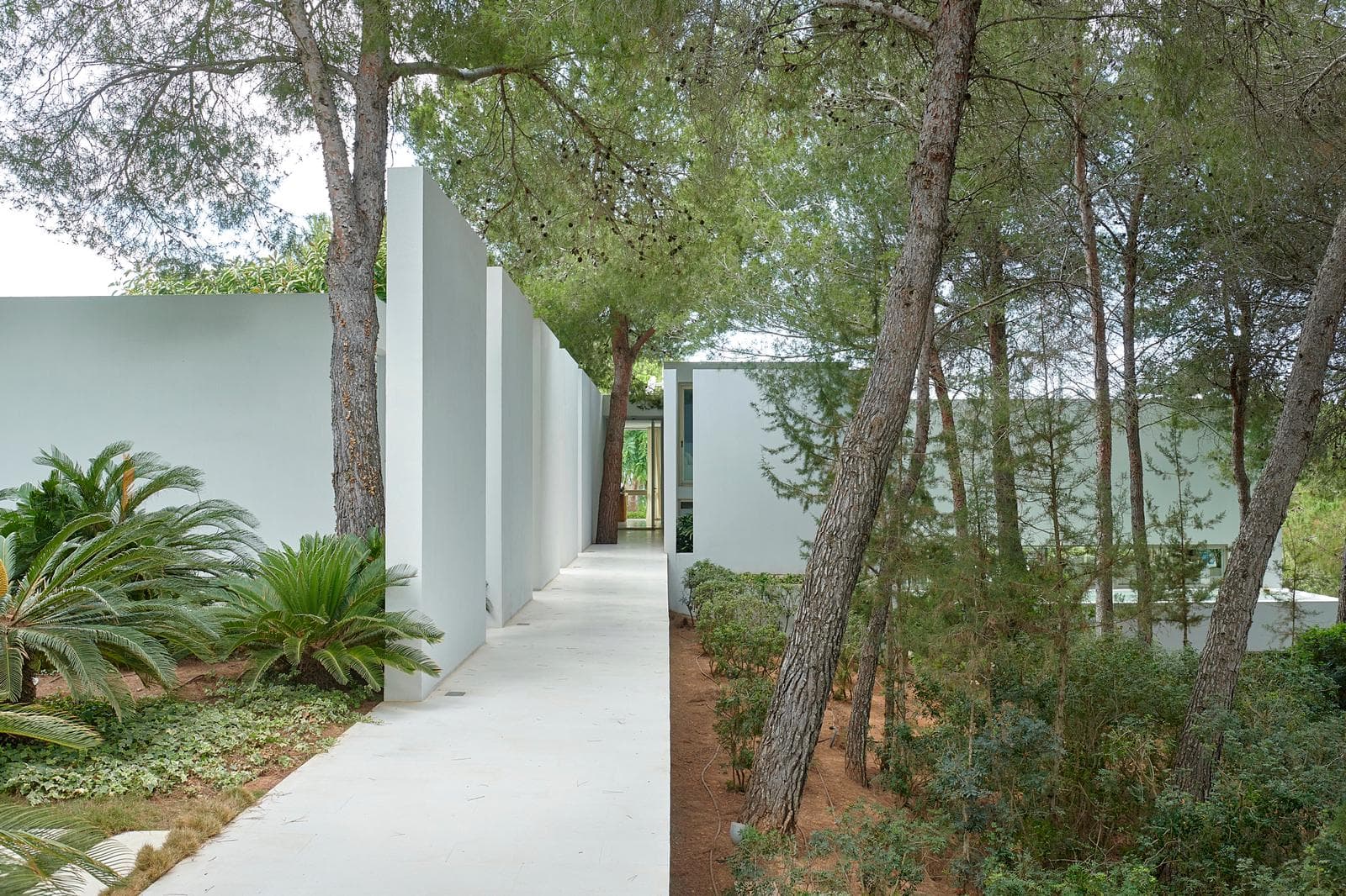 Villa Estrella — photo 35