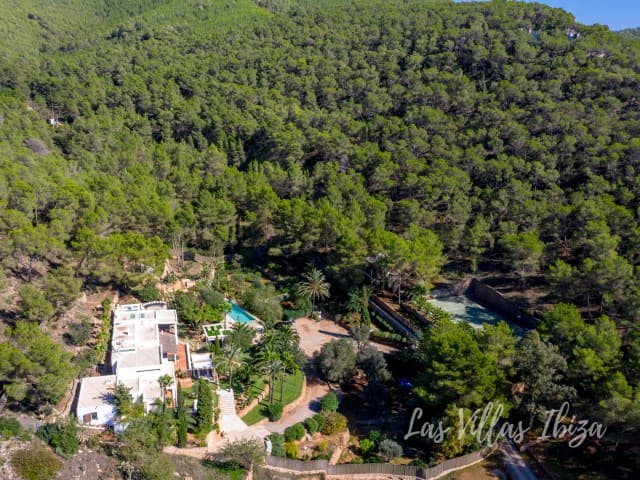 Aerial view of Can Nik in its wooded valley, Sa Carroca, Ibiza