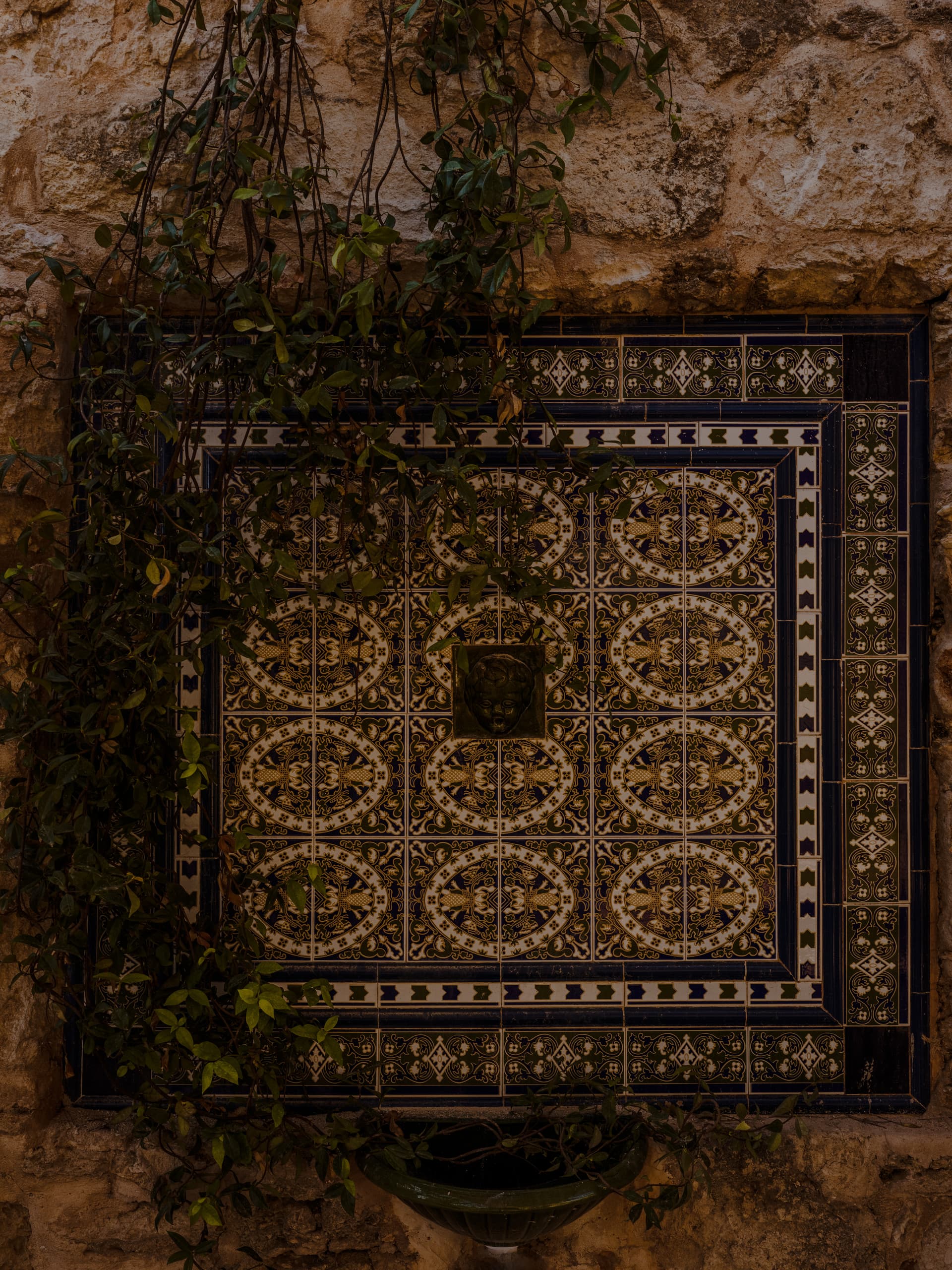 Can Borraja — photo 173