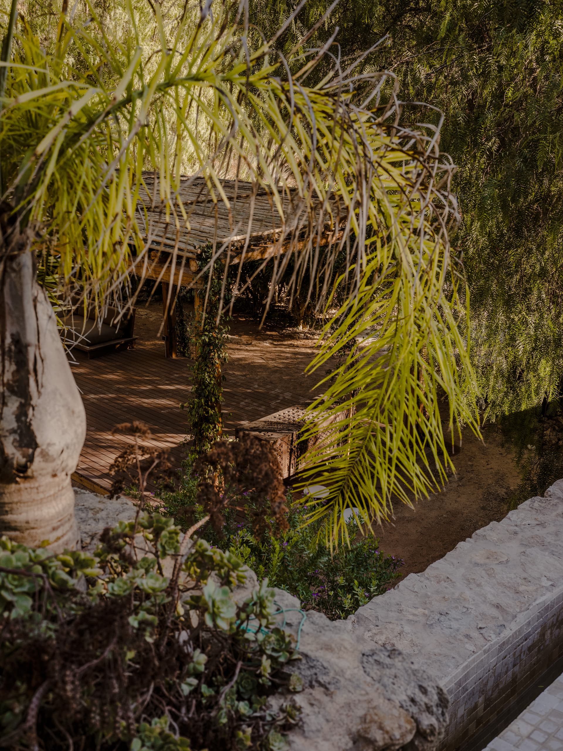 Can Borraja — photo 184