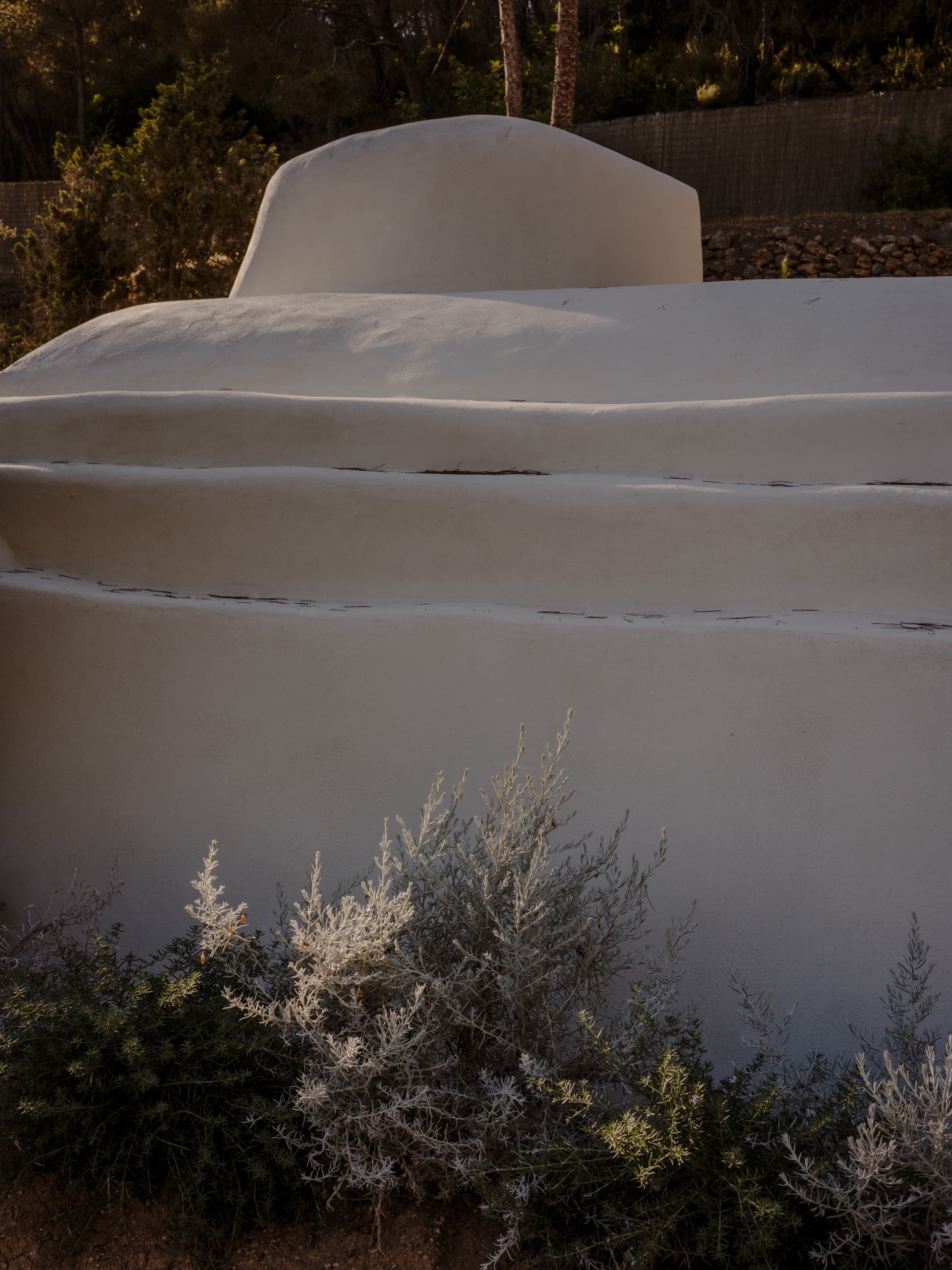 Can Borraja — photo 189