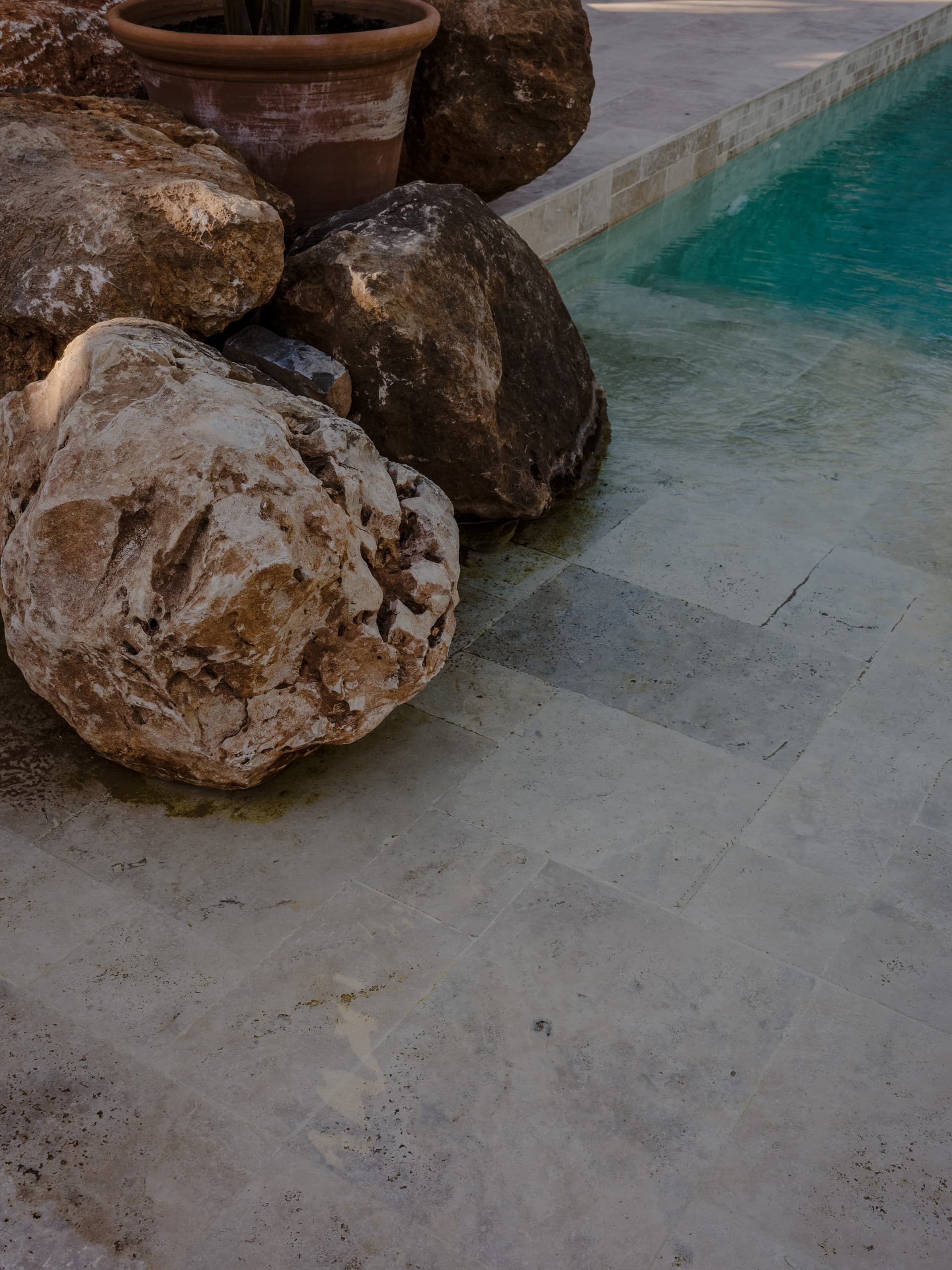 Can Borraja — photo 199