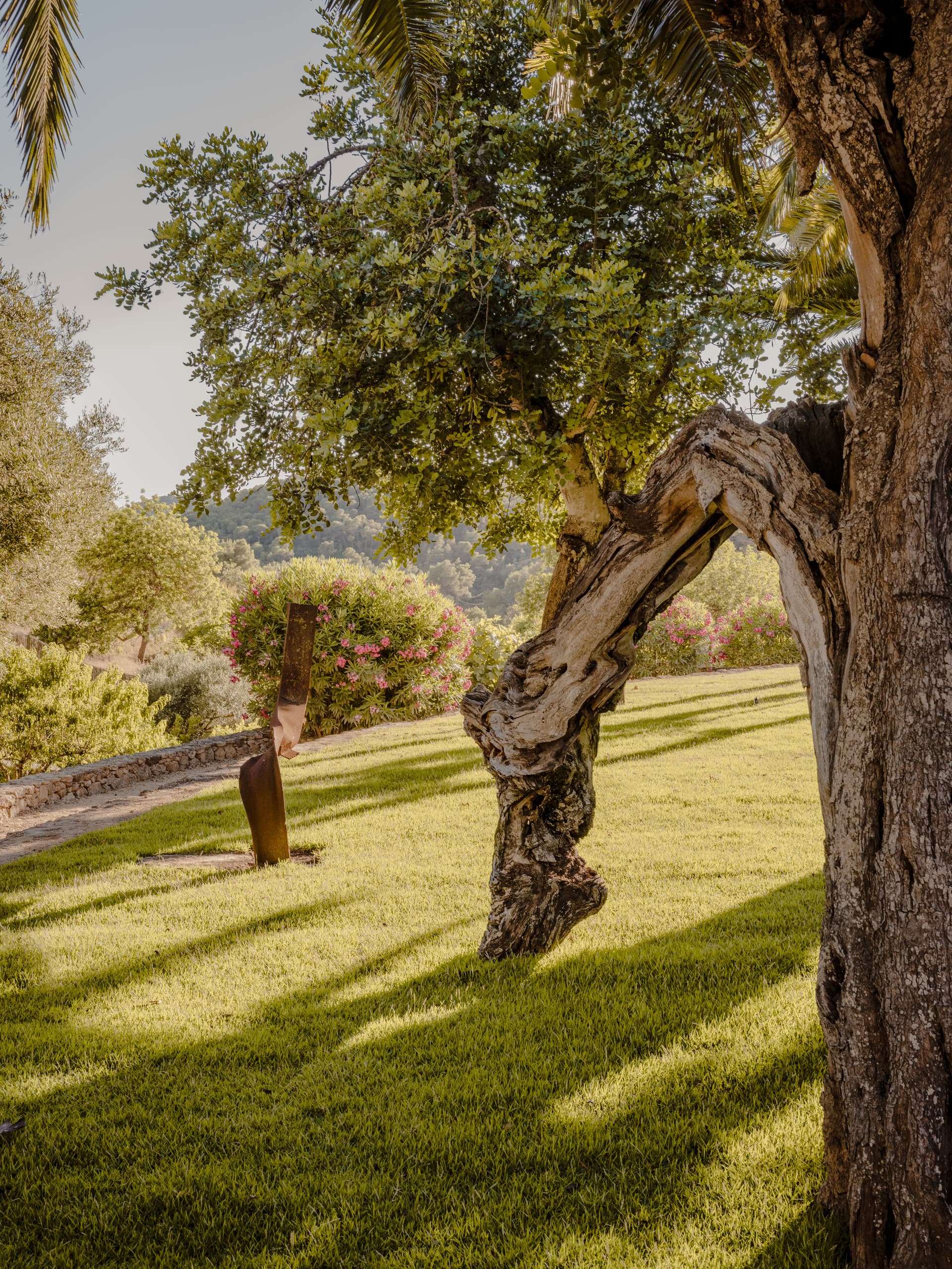 Can Borraja — photo 200