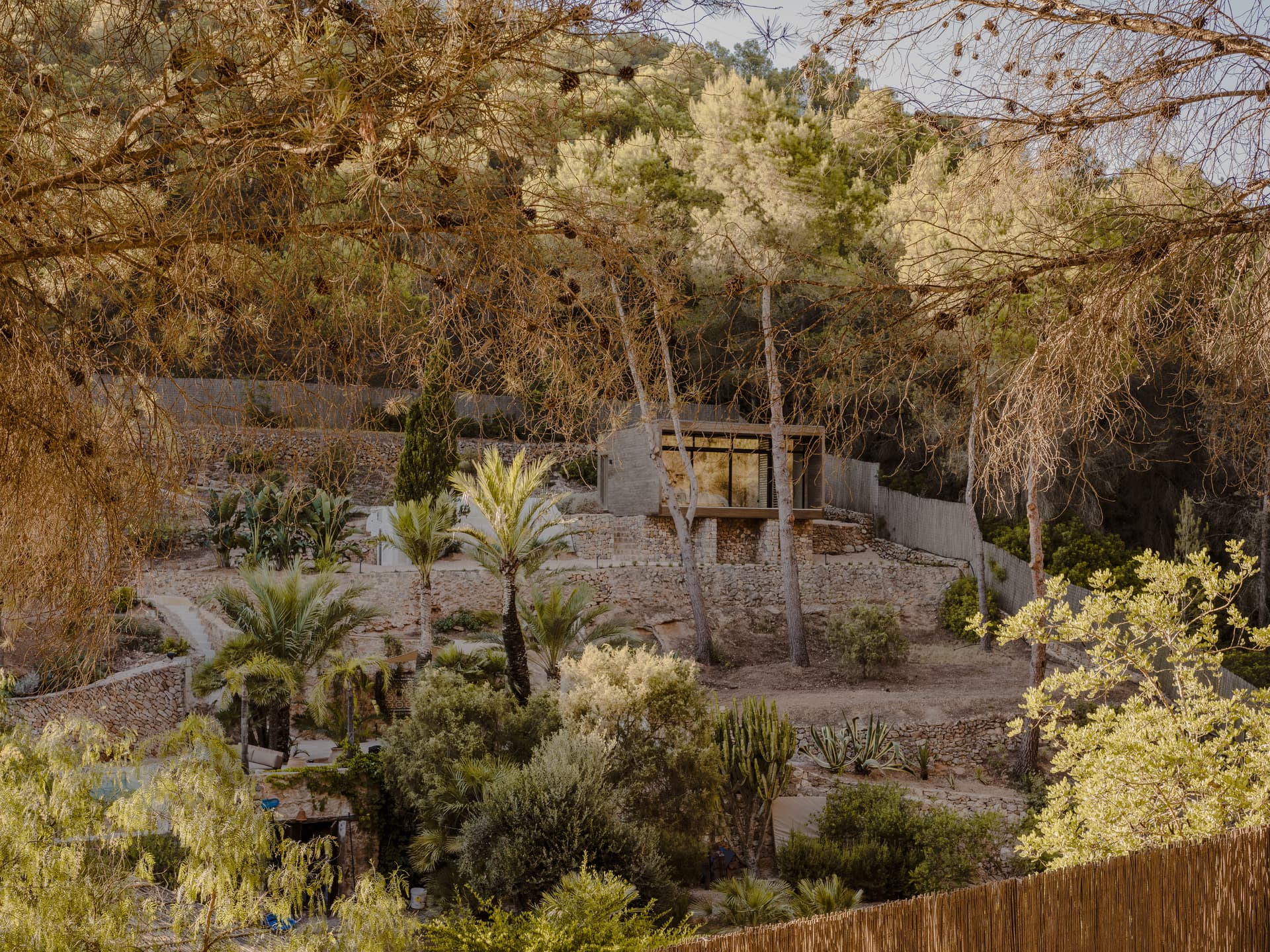 Can Borraja — photo 229