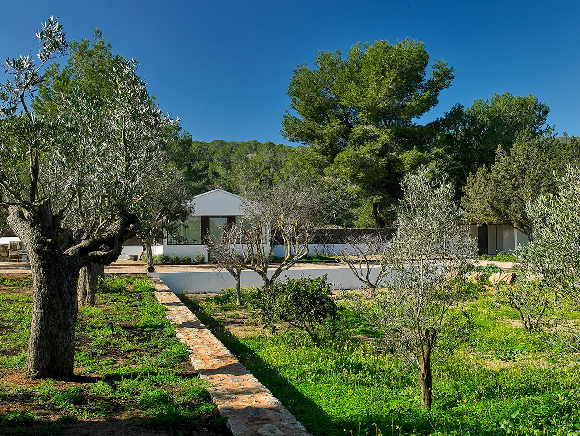 Villa Escaramujo — photo 37