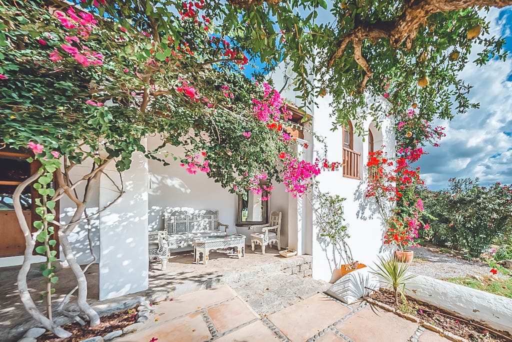 Villa Mostaza — photo 6