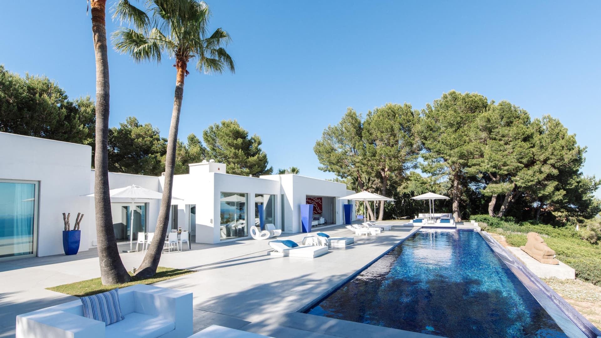 Mature palms lining the long swimming pool at Villa The Palms, Es Cubells, Ibiza