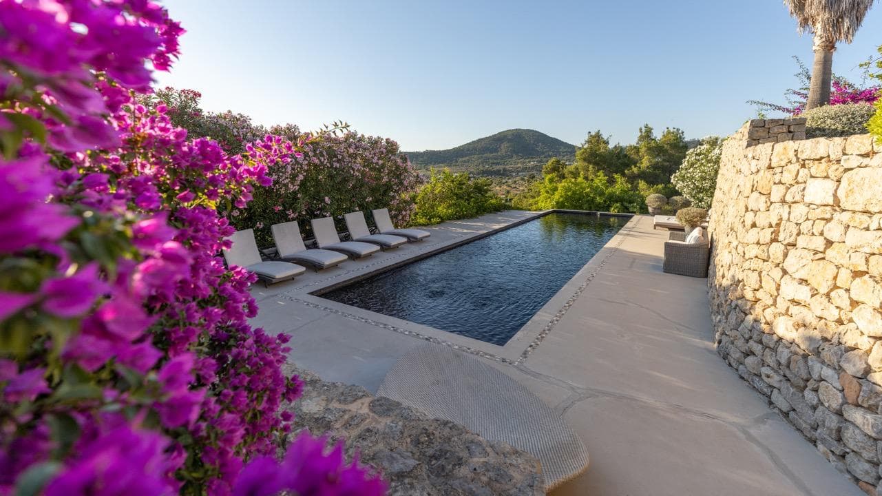 Bougainvillea and dry stone walling along the swimming pool of a luxury villa, Ibiza