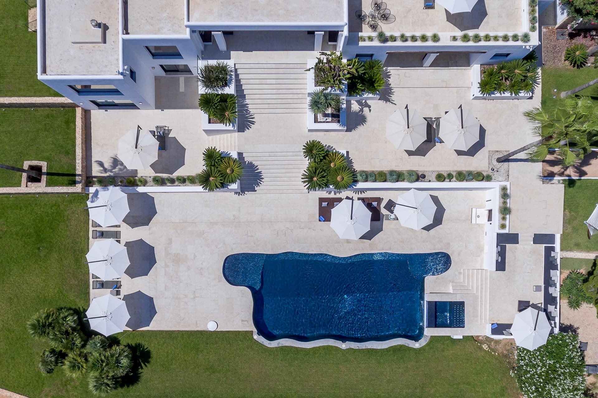 Can Nemo
