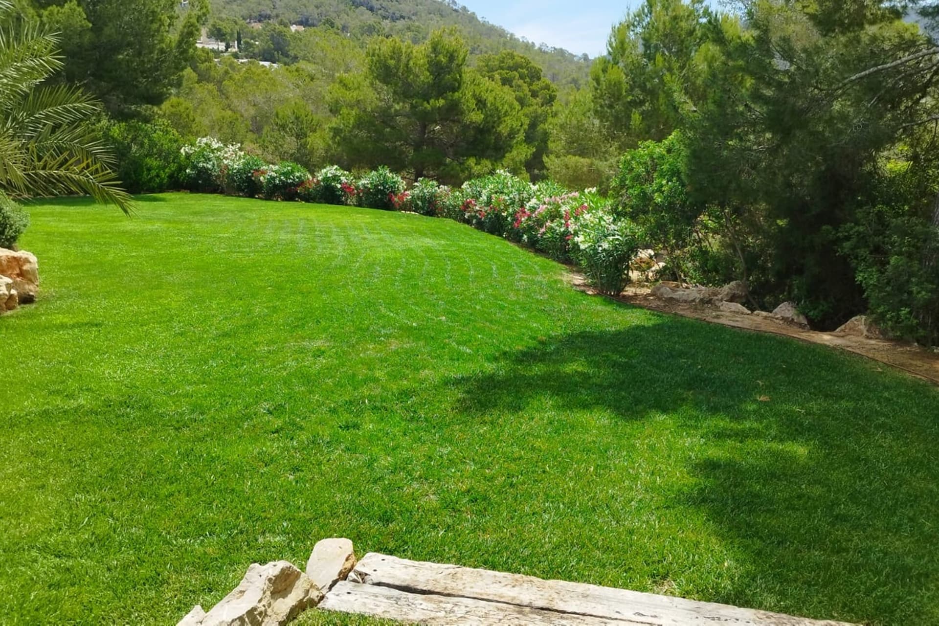Villa Haisley — photo 23
