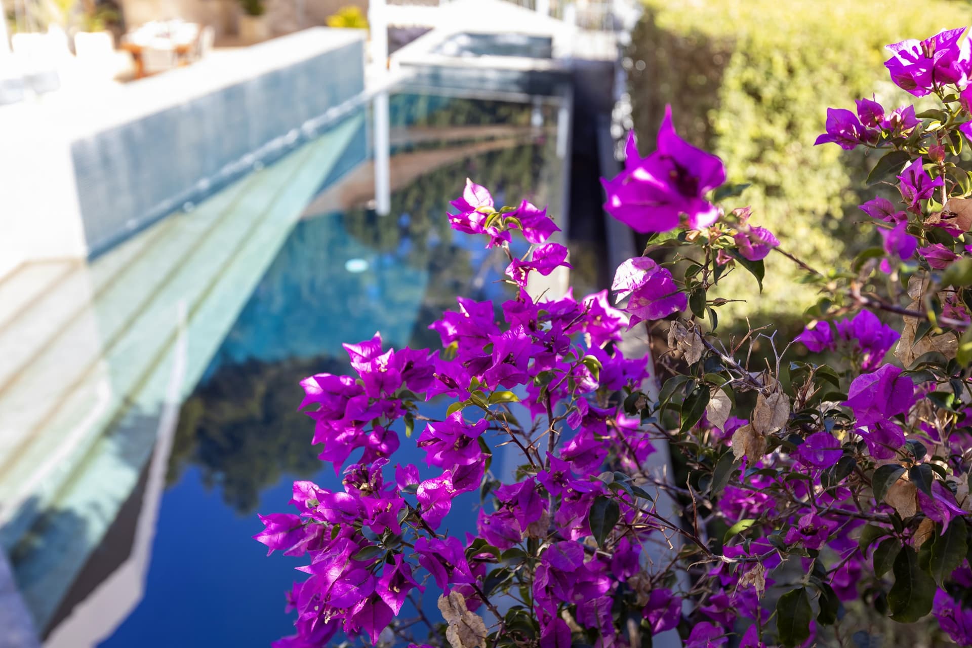 Villa Estelle — photo 25