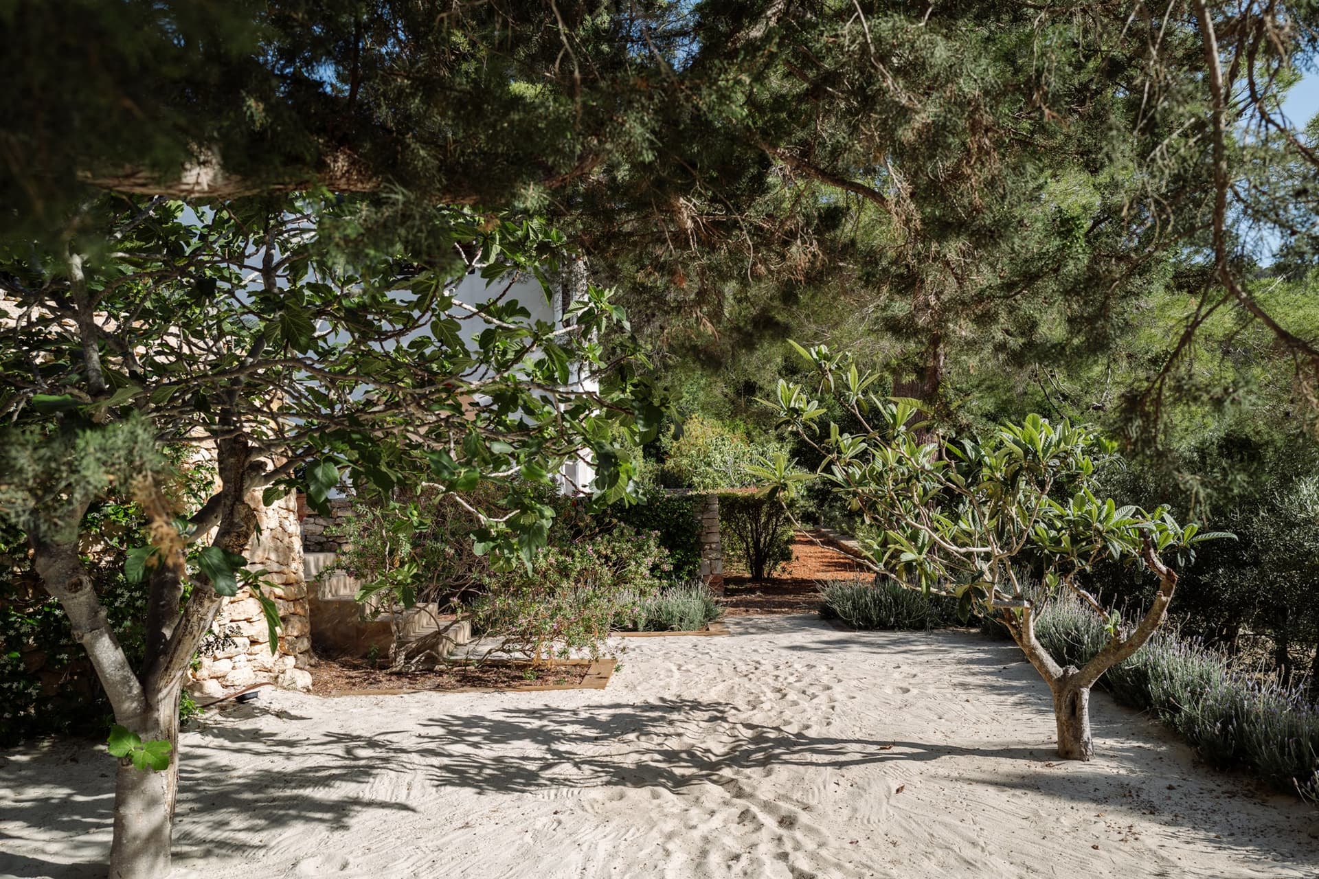 Can Xarraca — photo 85