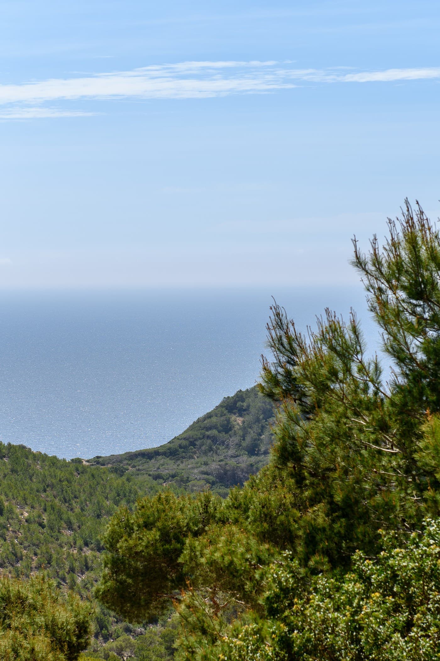 Villa Infinite — photo 113