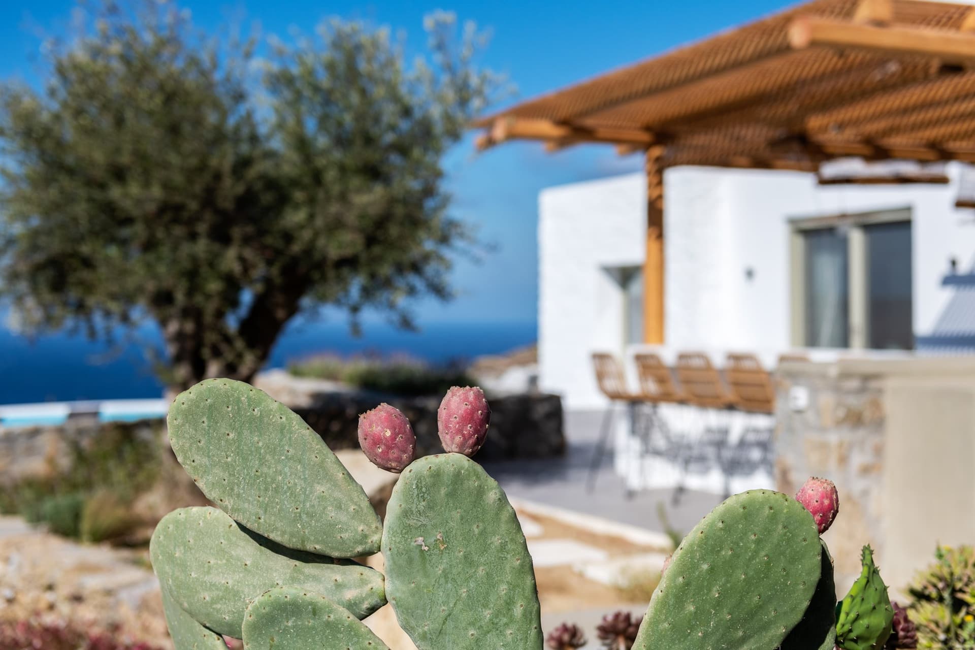 Villa Cassis — photo 41