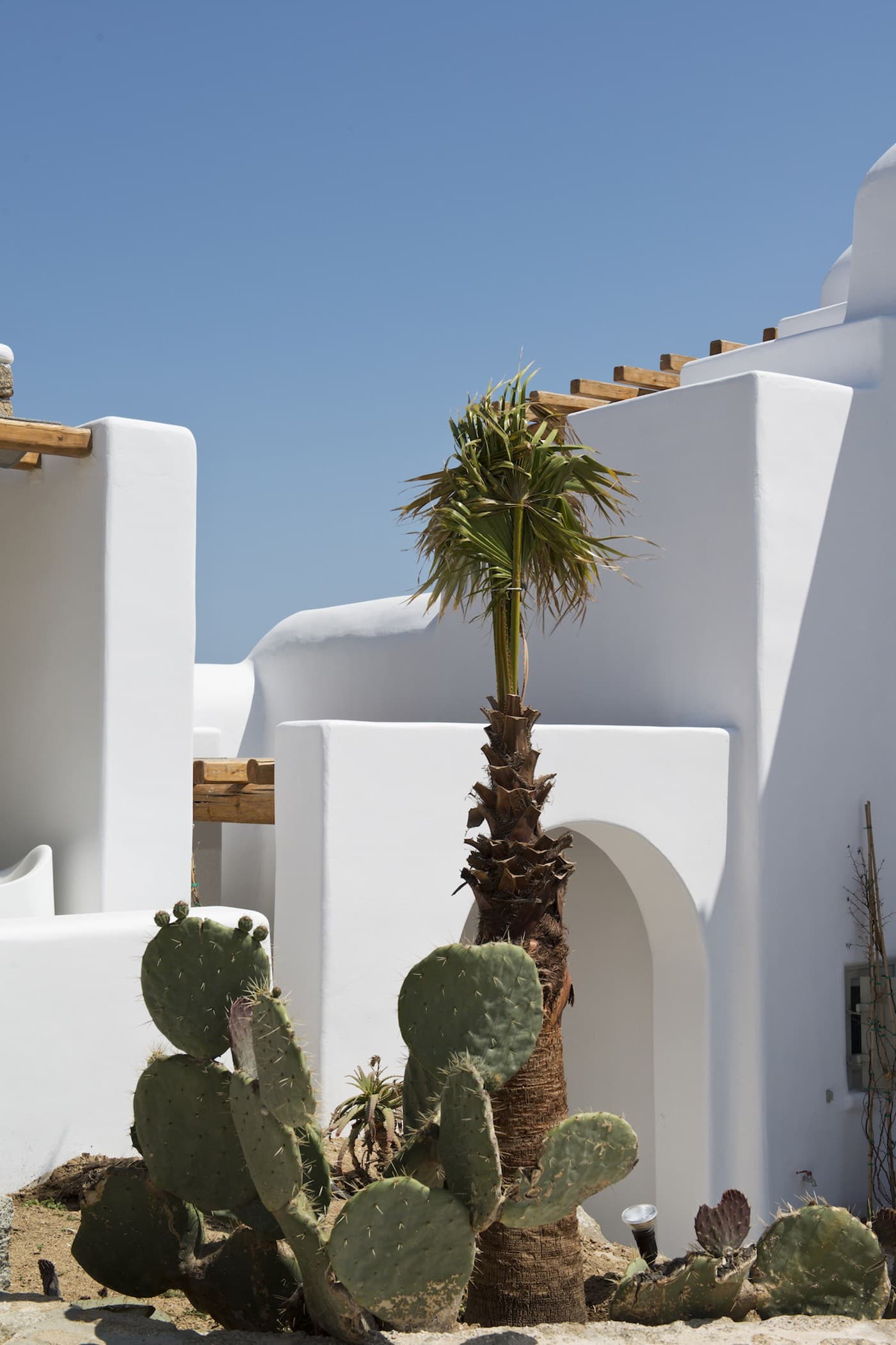 Villa Zoe — photo 11