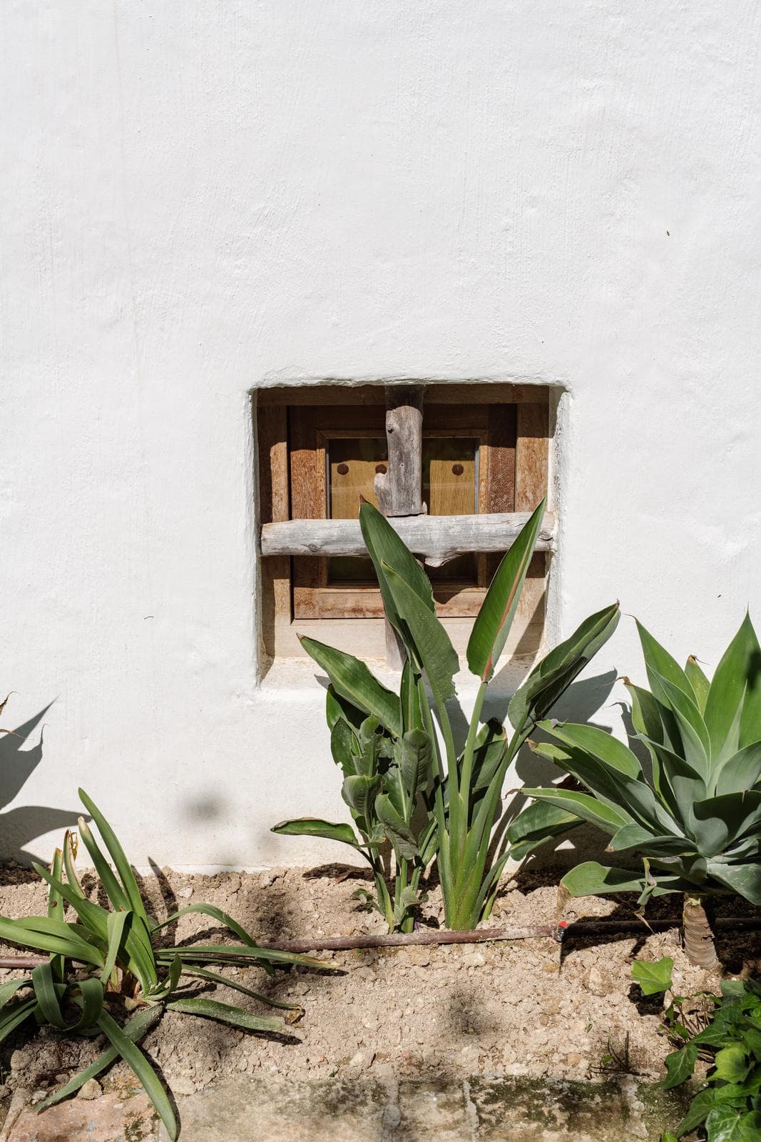 Villa Águila — photo 46