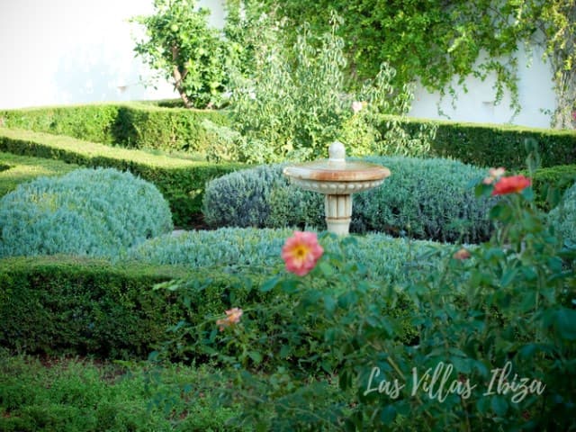 Villa Tortuga — photo 16
