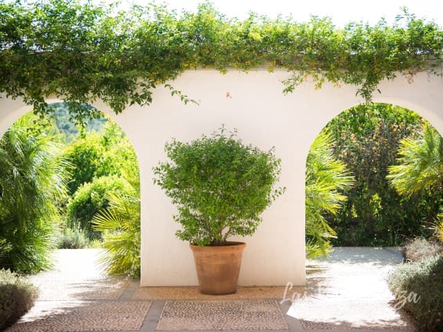 Villa Tortuga — photo 6