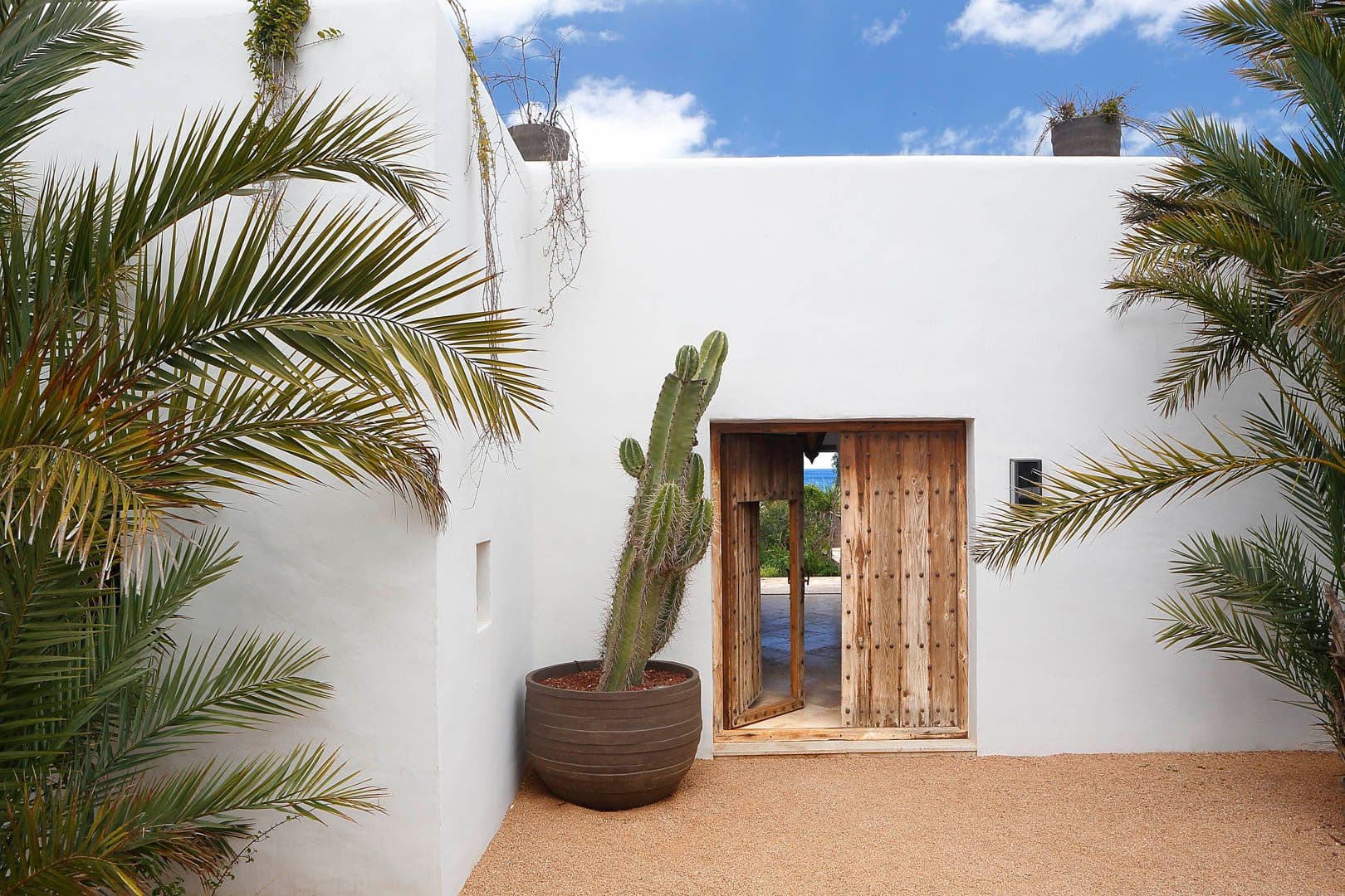 White stucco entrance courtyard at Sa Orquidea villa with a rustic wooden door, potted cactus and palm fronds framing the sky.