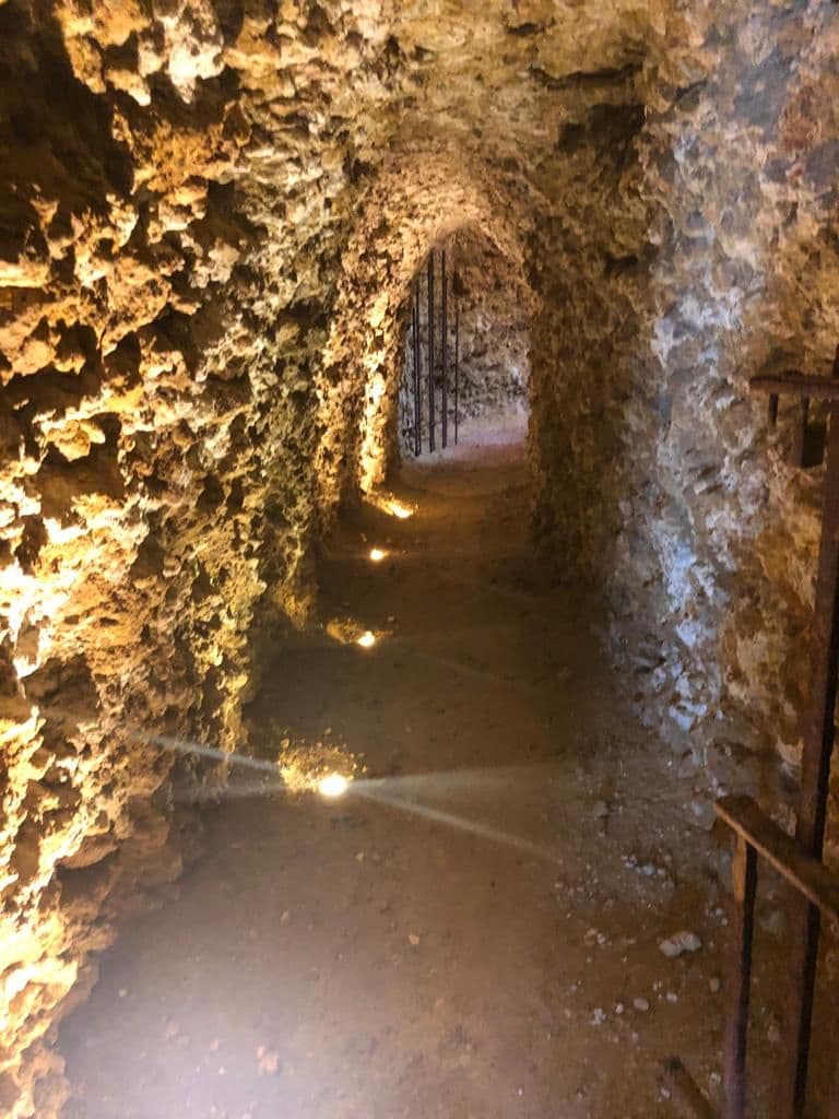 Sa Orquídea — photo 23