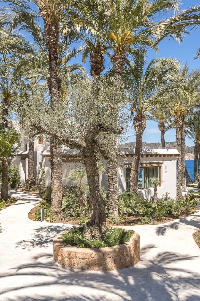 Villa Verbena — photo 6