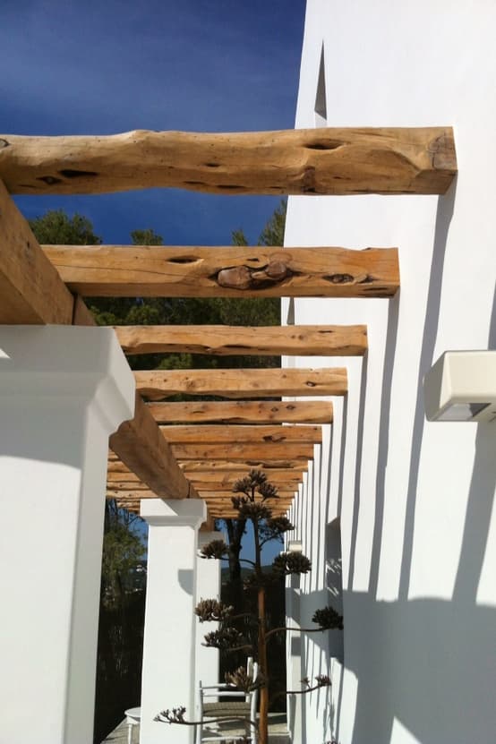 Can Cardamomo — photo 3