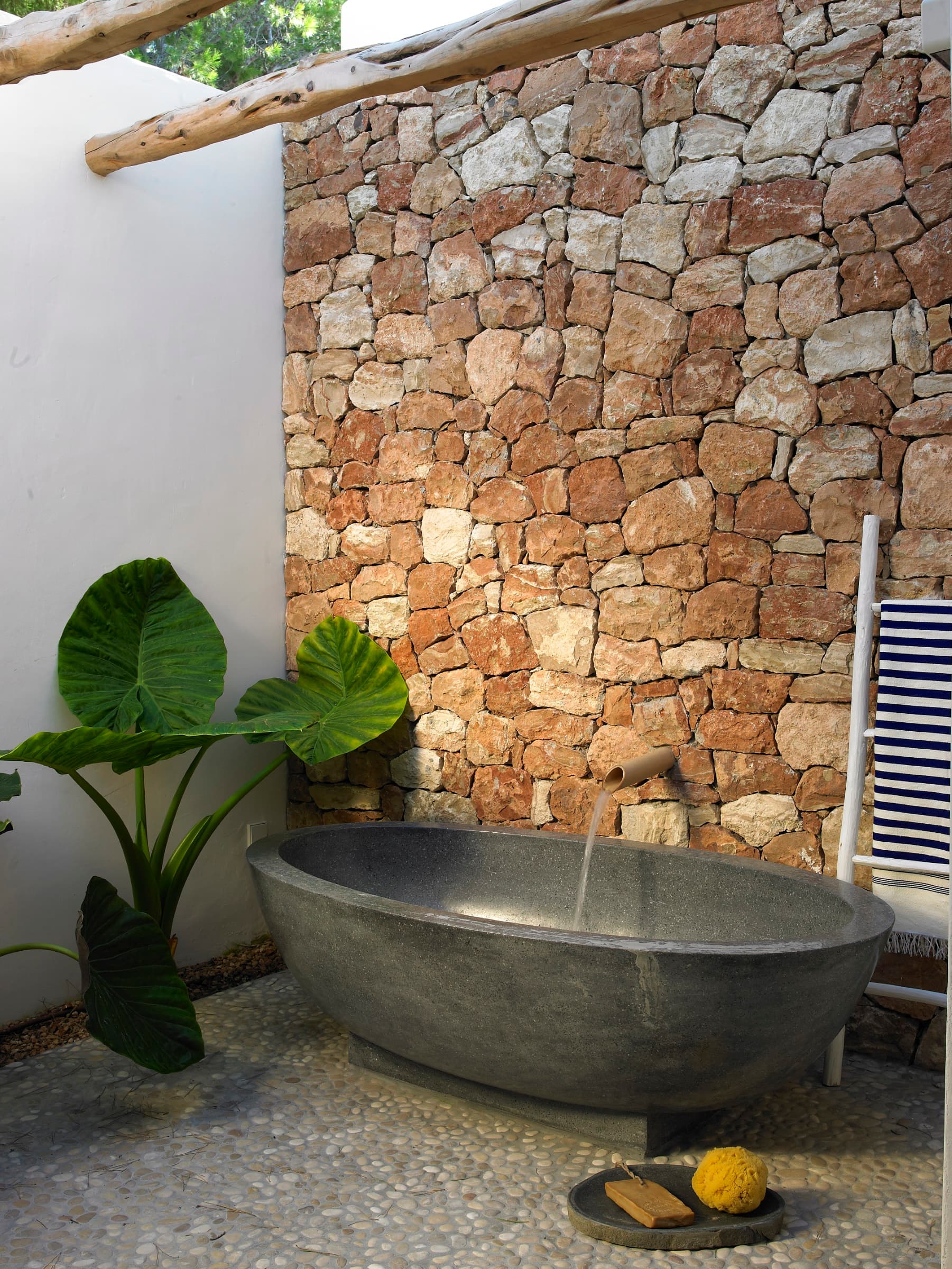 Can Cardamomo — photo 12