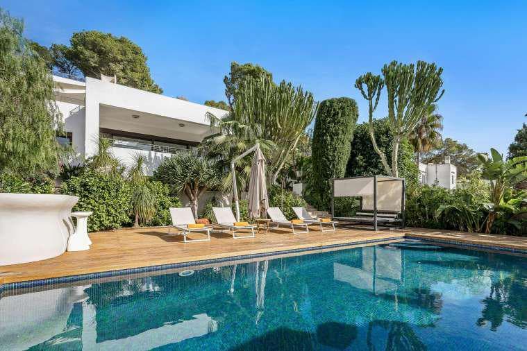 Swimming pool with sun loungers and mature dragon trees at Villa Misada, Talamanca, Ibiza