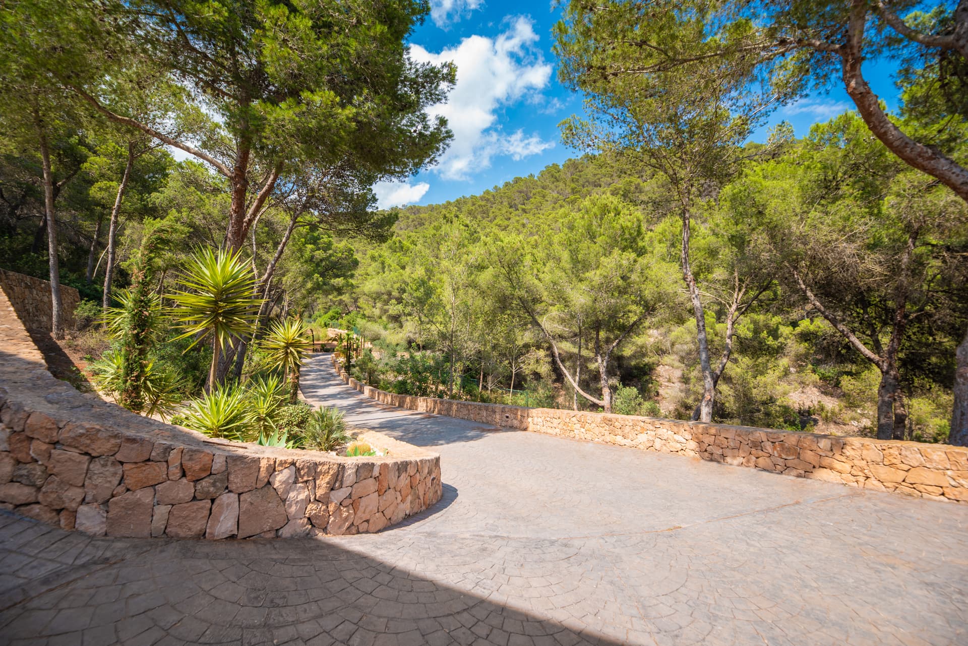 Villa Apio — photo 4