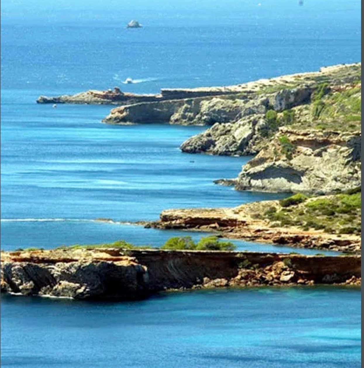 TERRENO 9.000M2 con 1.600M2 URBANOS CON PROYECTO VISTA MAR, Roca Llisa , Ibiza — Terreno, Roca Llisa · Santa Eulària des Riu, Ibiza