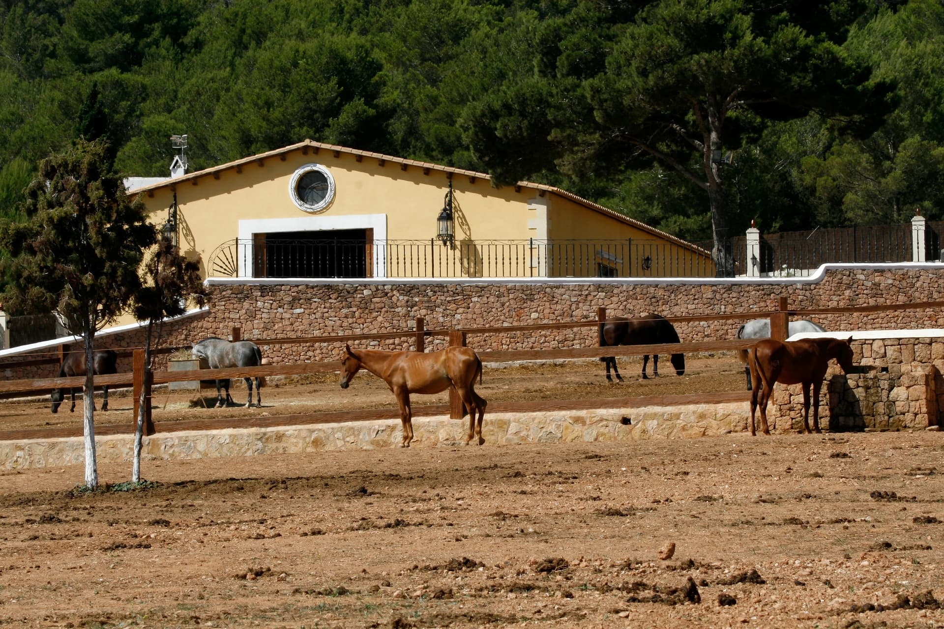 FINCA ELYSIUM | Exclusiva Finca Hípica con 80.000 m² de Terreno y Vistas Panorámicas Cerca de San Antonio, Ibiza — photo 18