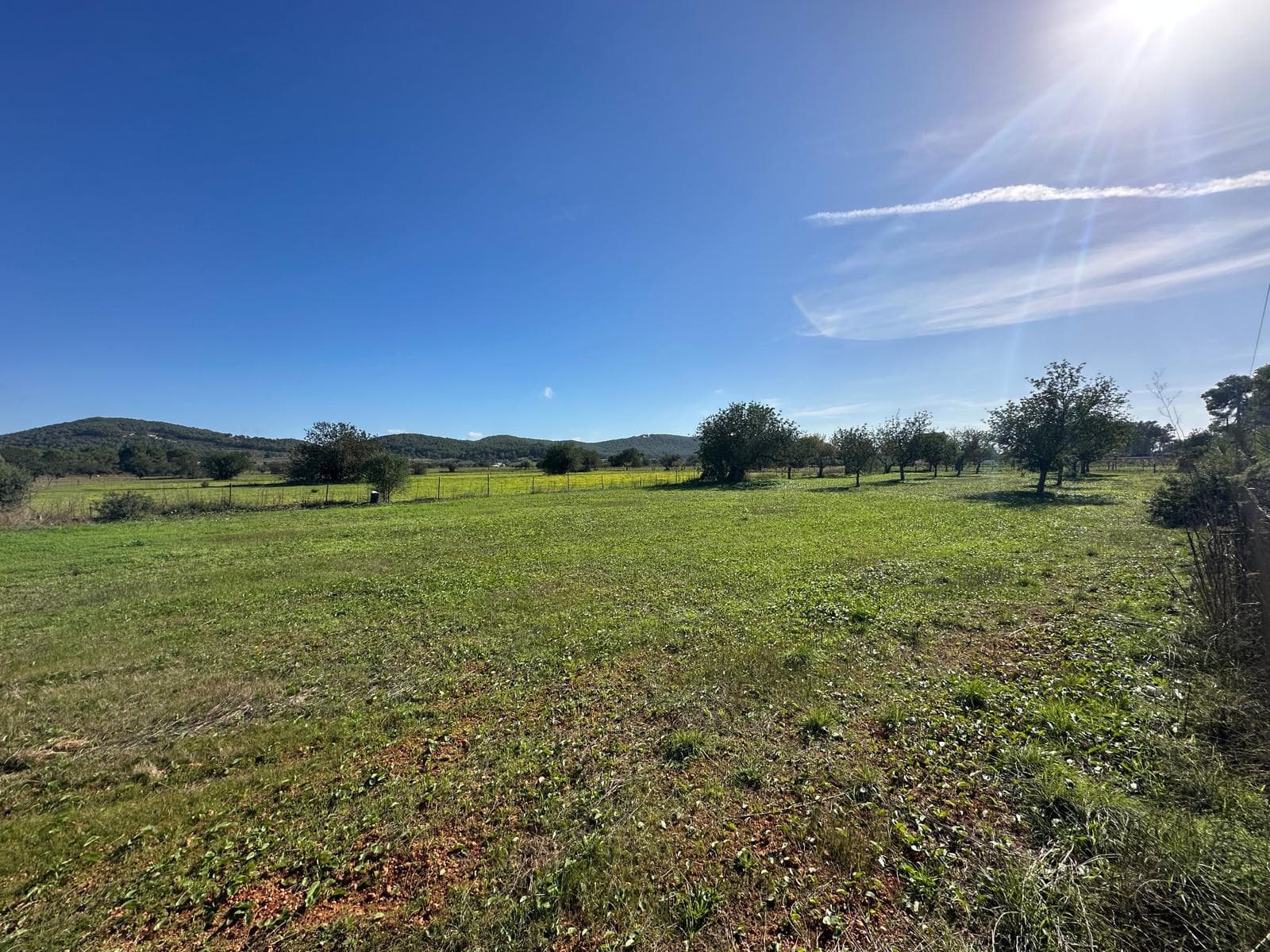 TERRENO CON LICENCIA , Santa Gertrudis, Ibiza — Terreno, Santa Gertrudis · Santa Eulària des Riu, Ibiza