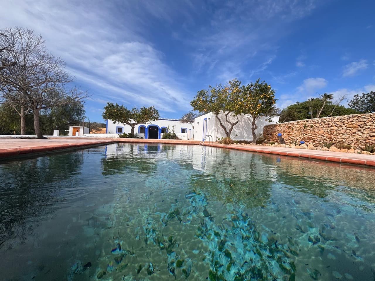 FINCA IBICENCA EN ALQUILER, Santa Gertrudis, Ibiza — photo 2 of 41
