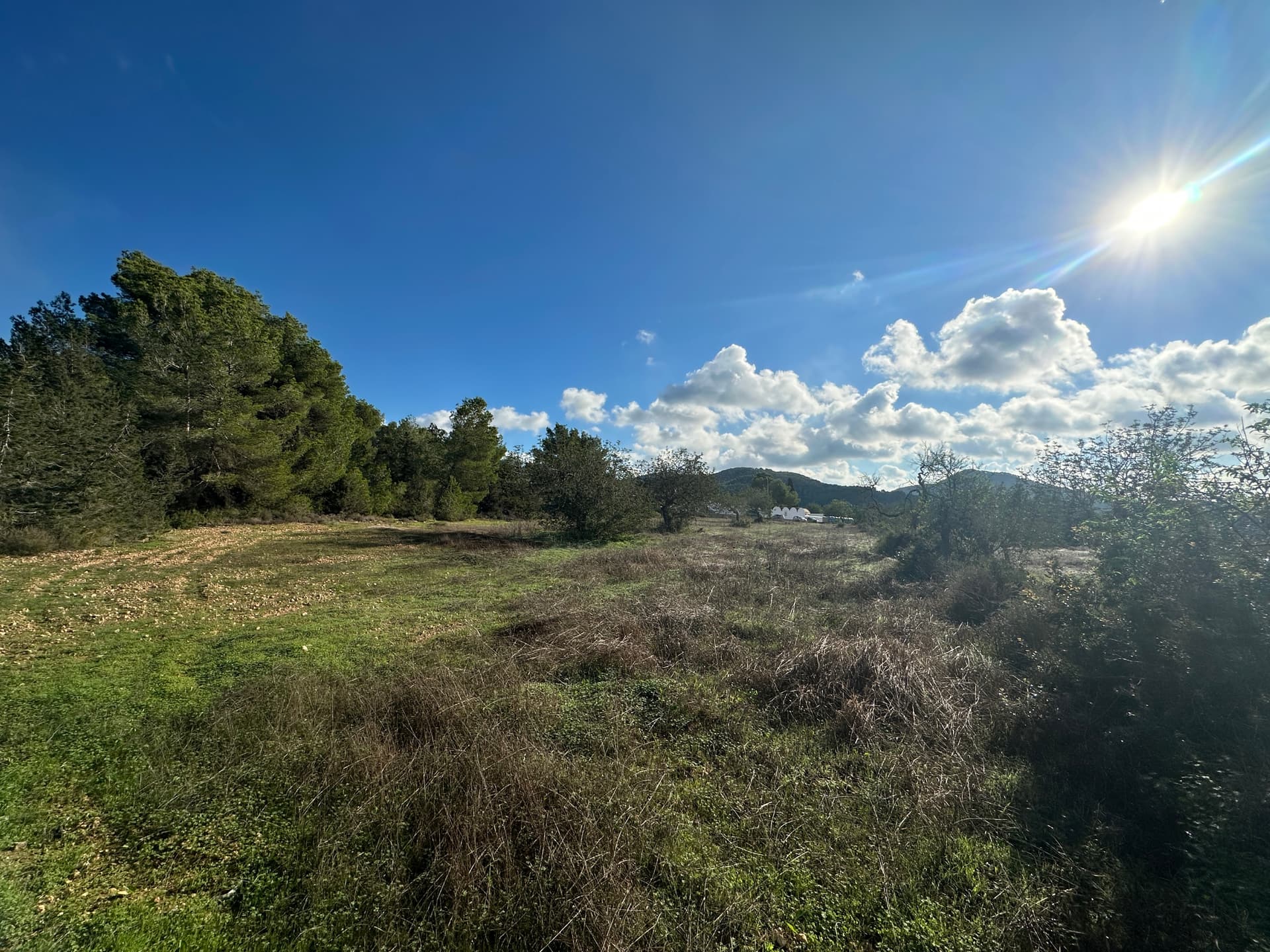TERRENO RUSTICO EN SAN JOSE PUEBLO, Sant José, Ibiza — photo 3 of 4
