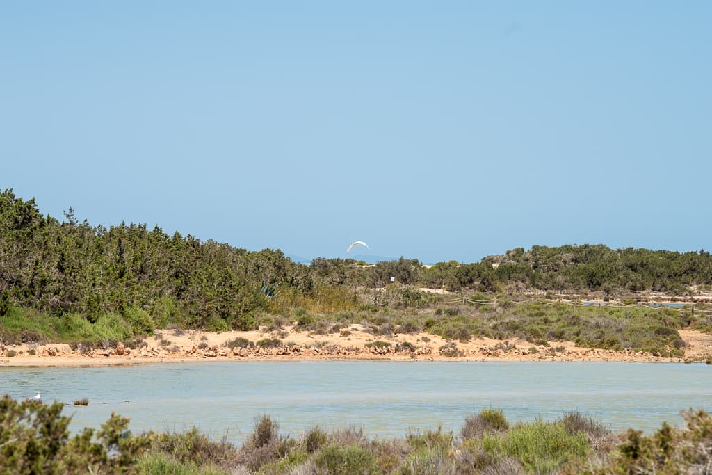 VILLA FORMENTERA, La Savina, Ibiza — photo 5