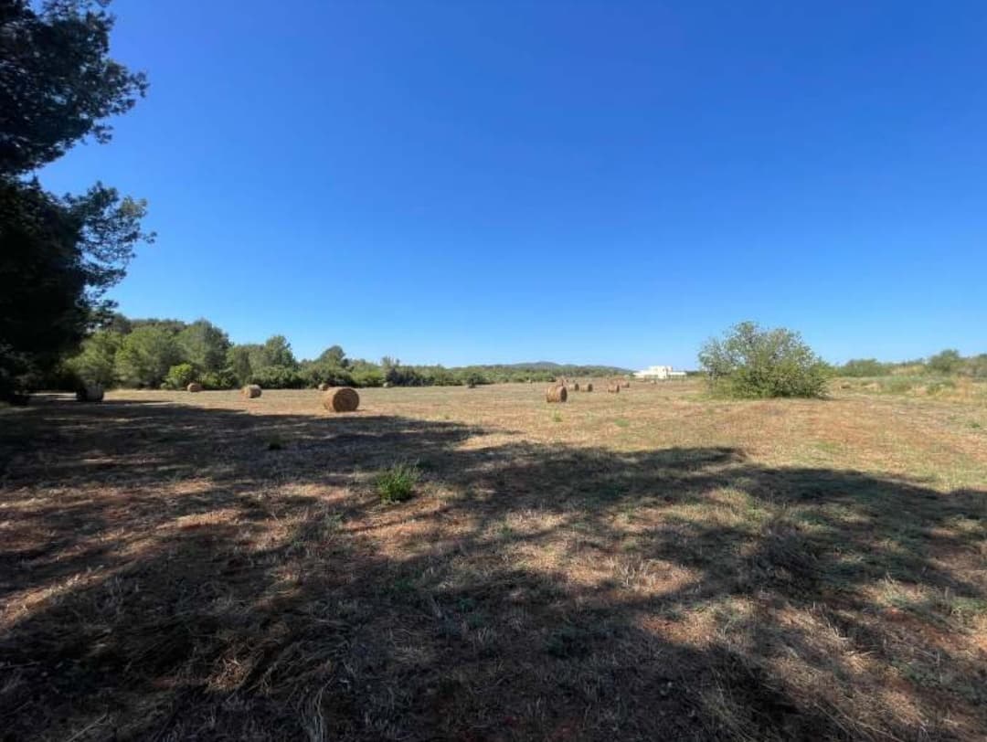 BONITO TERRENO RÚSTICO PRÓXIMO A SANTA GERTRUDIS, San Llorenç de Balàfia, Ibiza — photo 5