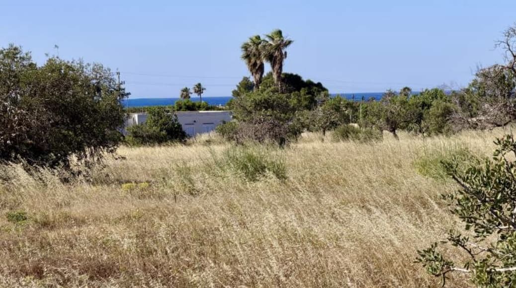 PARCELA RÚSTICA EN SAN JORDI SES SALINES, San José, Ibiza — photo 3 of 7