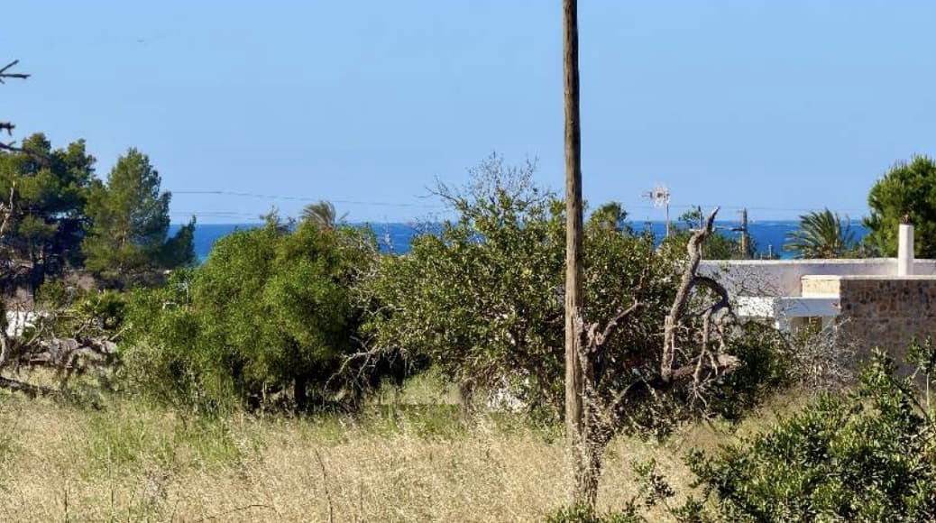 PARCELA RÚSTICA EN SAN JORDI SES SALINES, San José, Ibiza — photo 7